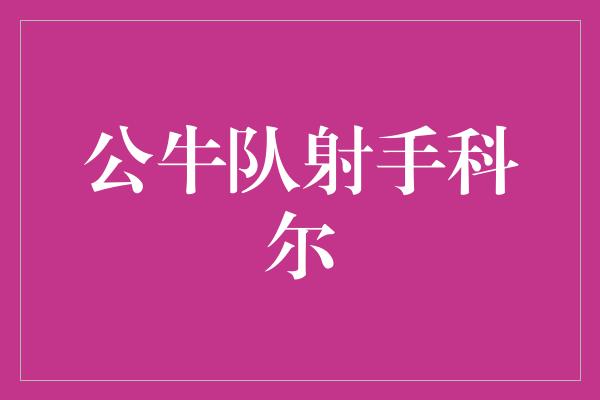 公牛队！公牛队射手科尔 冠军之路的领袖
