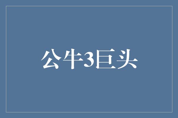 公牛3巨头