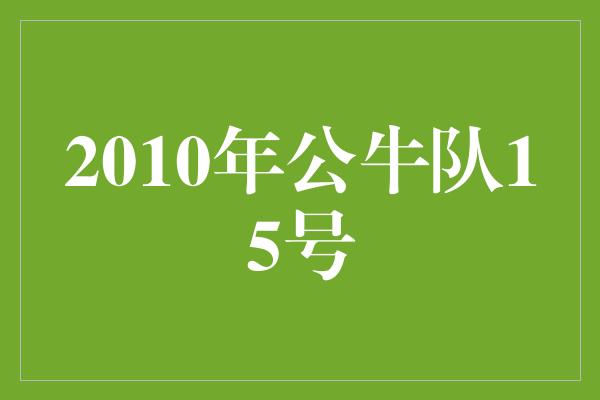 2010年公牛队15号