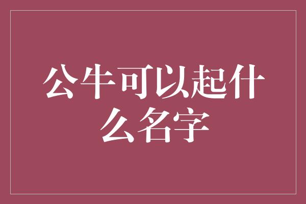 公牛可以起什么名字