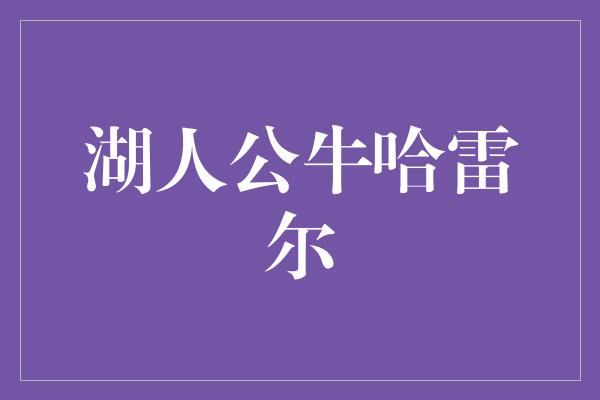 湖人公牛哈雷尔