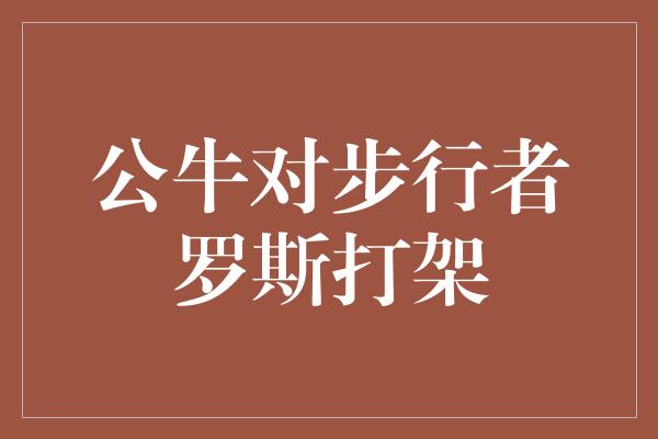 公牛对步行者罗斯打架