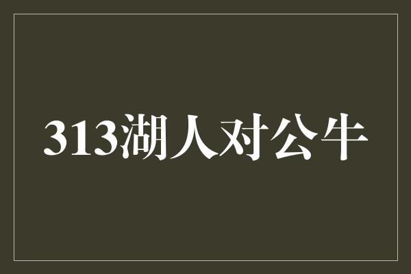 313湖人对公牛